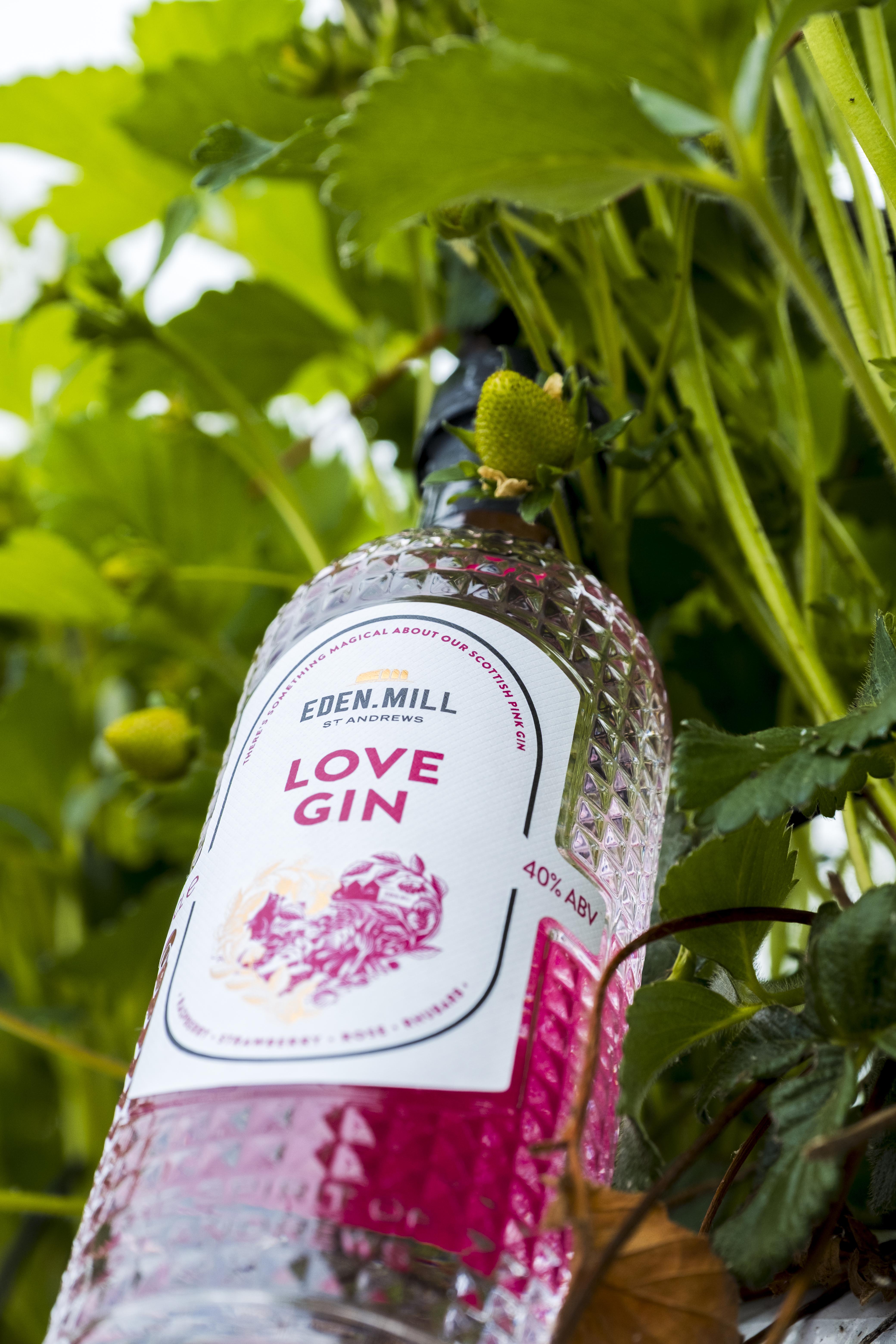 Eden Mill Love Gin