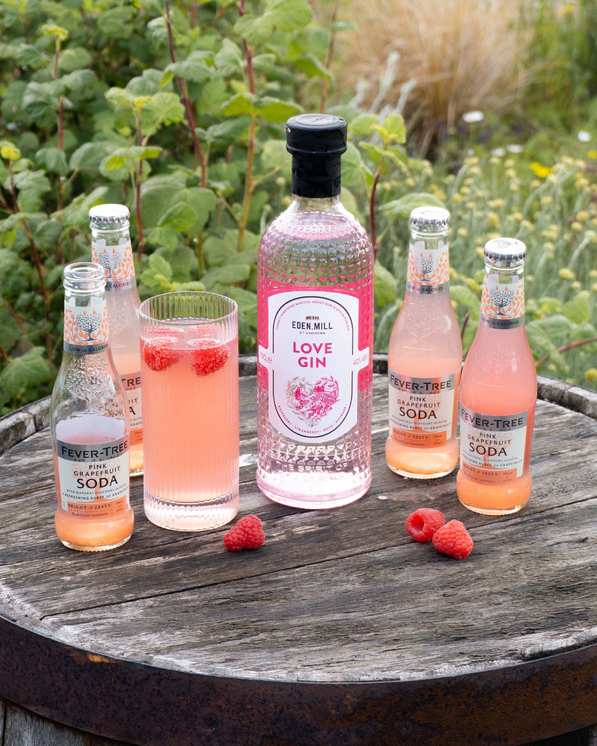 Love Gin & Fever-Tree Serve Pack