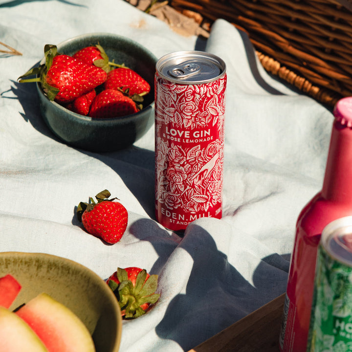 Single Can of Love Gin and Rose Lemonade in a picnic setting