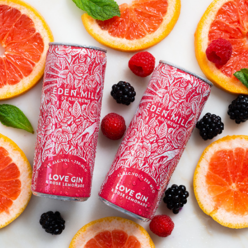 Two cans of love gin and rose lemonade flat lay with grapefruit slices and berries surrounding